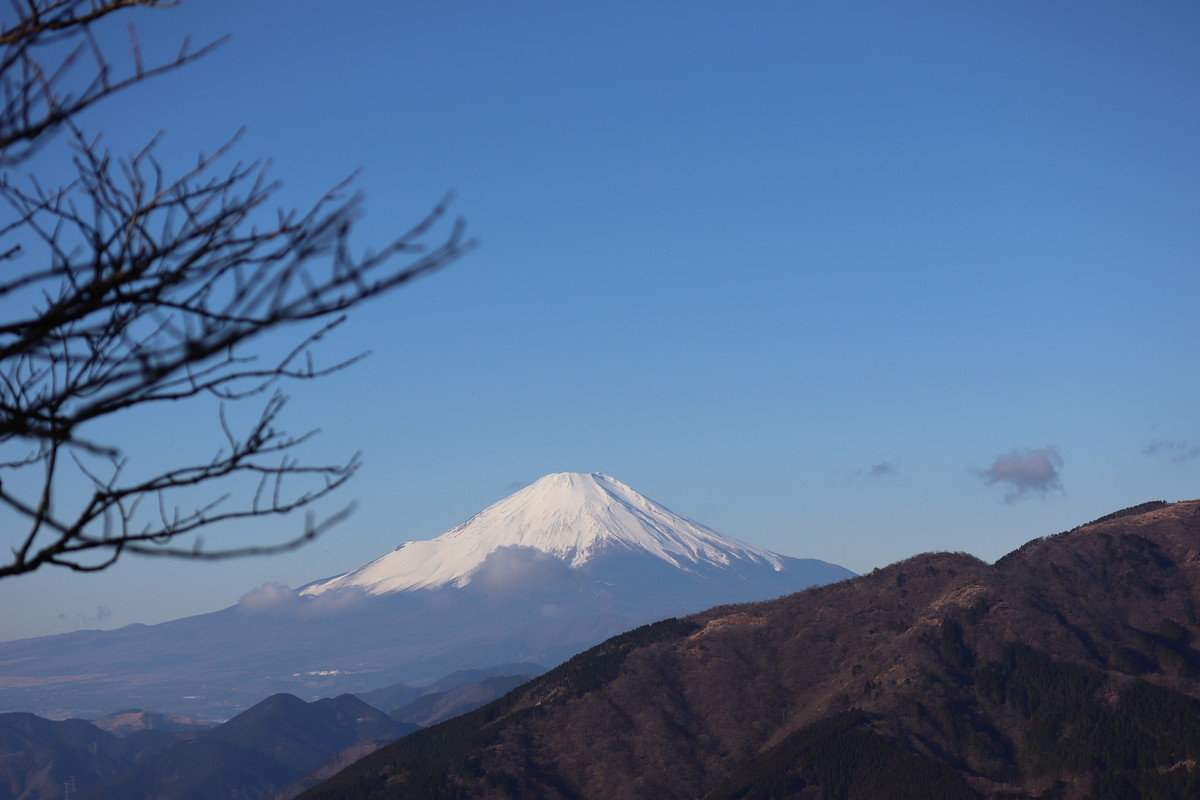f:id:mikisakai:20220103085953j:plain