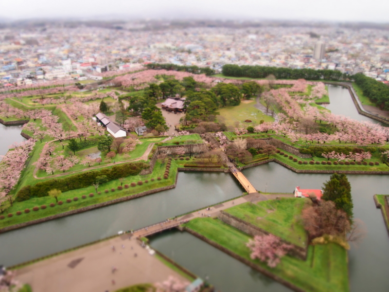 f:id:mikitani7722:20120504161458j:image:w640