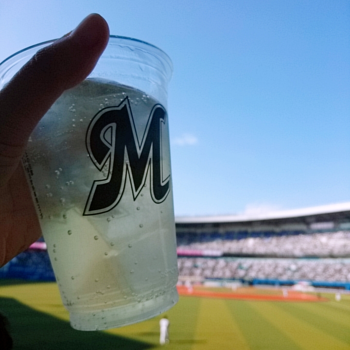 f:id:mikitie-bb:20190417142354j:plain f:id:mikitie-bb:20190417142354j:plain