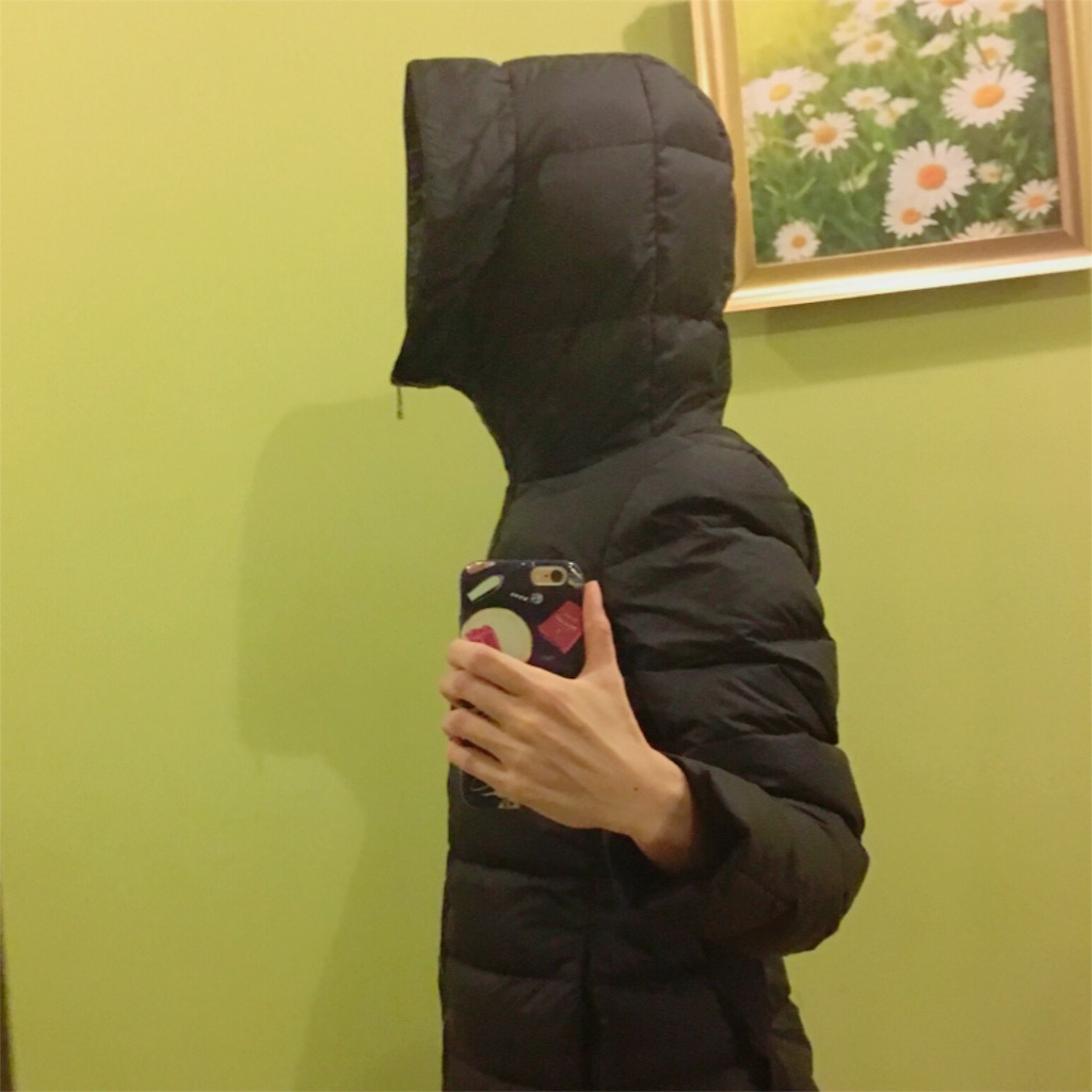 f:id:mikitie-russia:20151218175748j:image f:id:mikitie-russia:20151218175748j:image