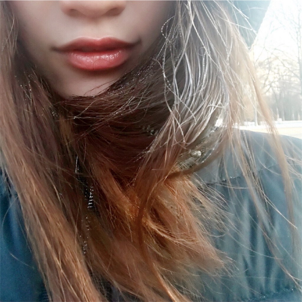 f:id:mikitie-russia:20160102071359j:image f:id:mikitie-russia:20160102071359j:image