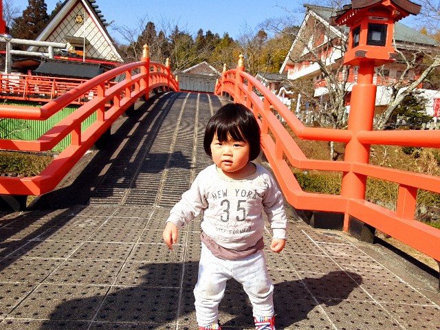 f:id:mikitoryu:20210301145020j:image