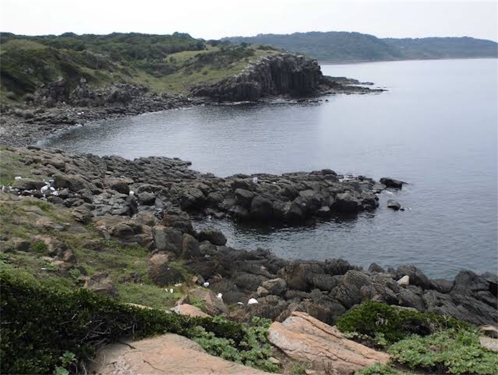 f:id:mikiyachang:20190716204741j:image