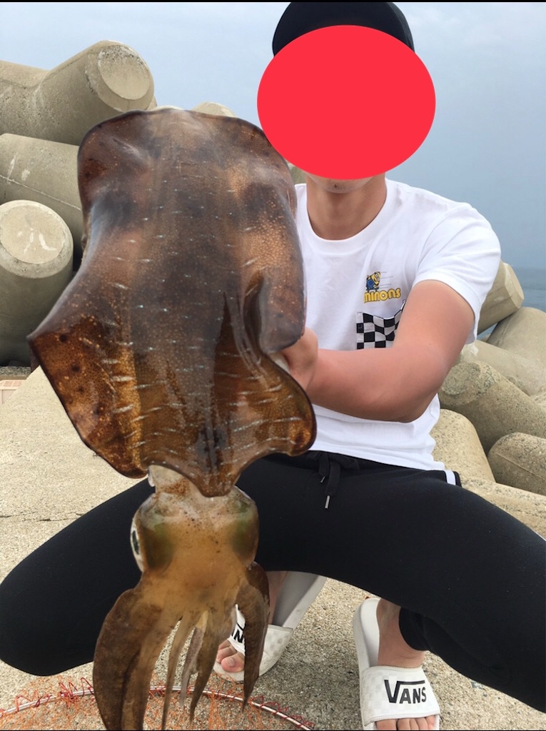 f:id:mikiyachang:20190826214014j:image