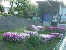 f:id:mikk:20080503164208j:image