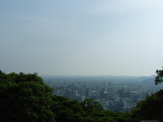 f:id:mikk:20080503165439j:image