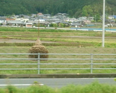 f:id:mikk:20080505092644j:image:w160