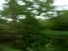 f:id:mikk:20080505093815j:image