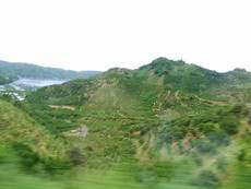 f:id:mikk:20080505093837j:image