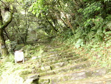 f:id:mikk:20080505101147j:image