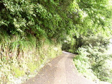 f:id:mikk:20080505101154j:image:w160