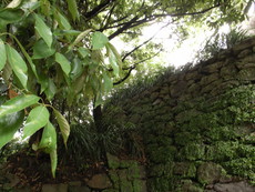 f:id:mikk:20080505101924j:image:w160