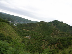 f:id:mikk:20080505123517j:image:w180