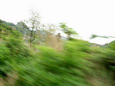 f:id:mikk:20080505123543j:image:w180