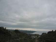 f:id:mikk:20080505123649j:image:w180