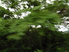 f:id:mikk:20080505123754j:image:w180