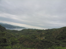 f:id:mikk:20080505123808j:image:w180