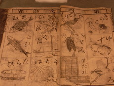 f:id:mikk:20080505131059j:image:w160