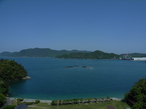 f:id:mikk:20080506101108j:image