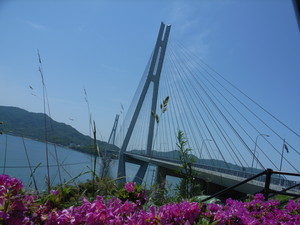 f:id:mikk:20080506130446j:image