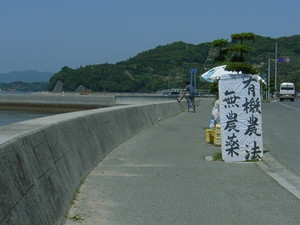 f:id:mikk:20080506132024j:image:w160