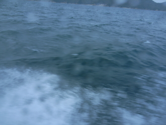 f:id:mikk:20081230140850j:image:w190