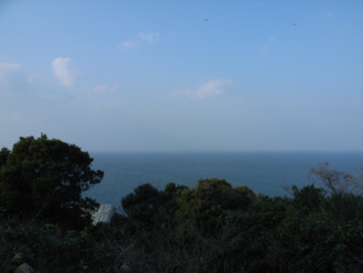 f:id:mikk:20081230145531j:image