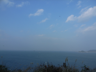 f:id:mikk:20081230150226j:image