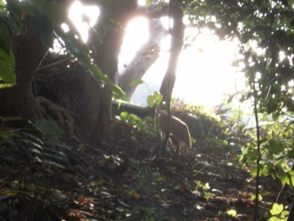 f:id:mikk:20081230150917j:image