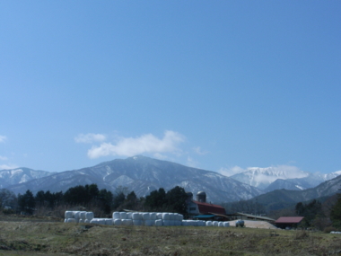 f:id:mikk:20090315112041j:image