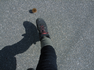 f:id:mikk:20090315125723j:image