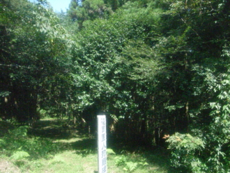 f:id:mikk:20090917115816j:image:w170