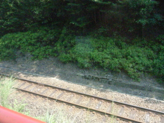 f:id:mikk:20090917121102j:image:w170