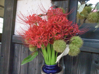 f:id:mikk:20090917122742j:image:w220