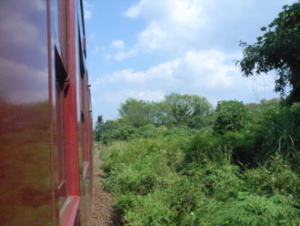 f:id:mikk:20090917134604j:image:w170