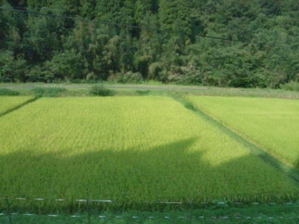 f:id:mikk:20090917154802j:image:w170