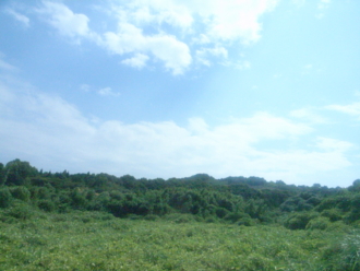 f:id:mikk:20090918134431j:image