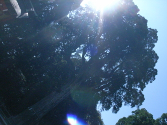 f:id:mikk:20090919103223j:image