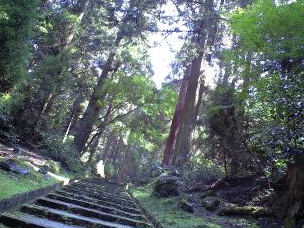 f:id:mikk:20090919104610j:image