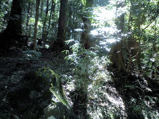 f:id:mikk:20090919104837j:image