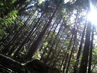 f:id:mikk:20090919105028j:image