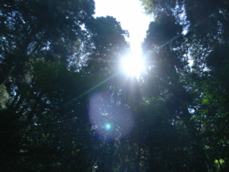 f:id:mikk:20090919105150j:image