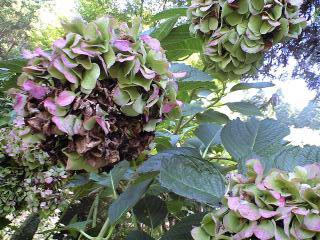 f:id:mikk:20090919105858j:image