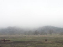 f:id:mikk:20120503085846j:image