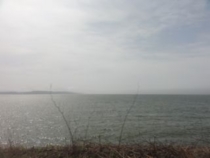 f:id:mikk:20120503090252j:image