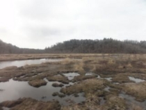 f:id:mikk:20120503091335j:image