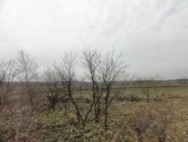 f:id:mikk:20120503100836j:image