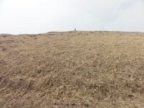 f:id:mikk:20120503101306j:image