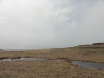 f:id:mikk:20120503101314j:image