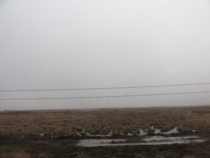 f:id:mikk:20120503103350j:image